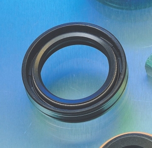 Rotary Shaft Seal