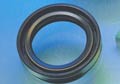 Rotary Shaft Seals